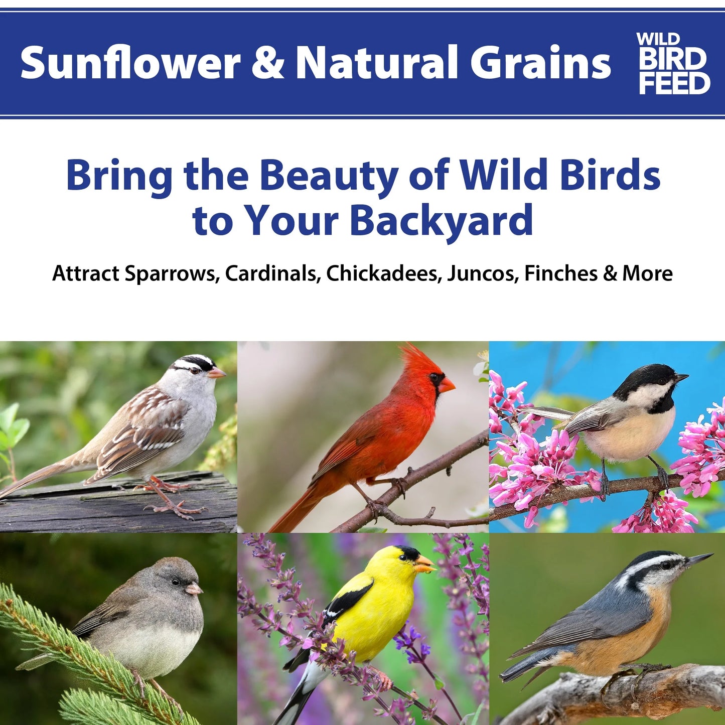 (5 Pack)  Sunflower & Natural Grains Wild Bird Feed, 5 Lb