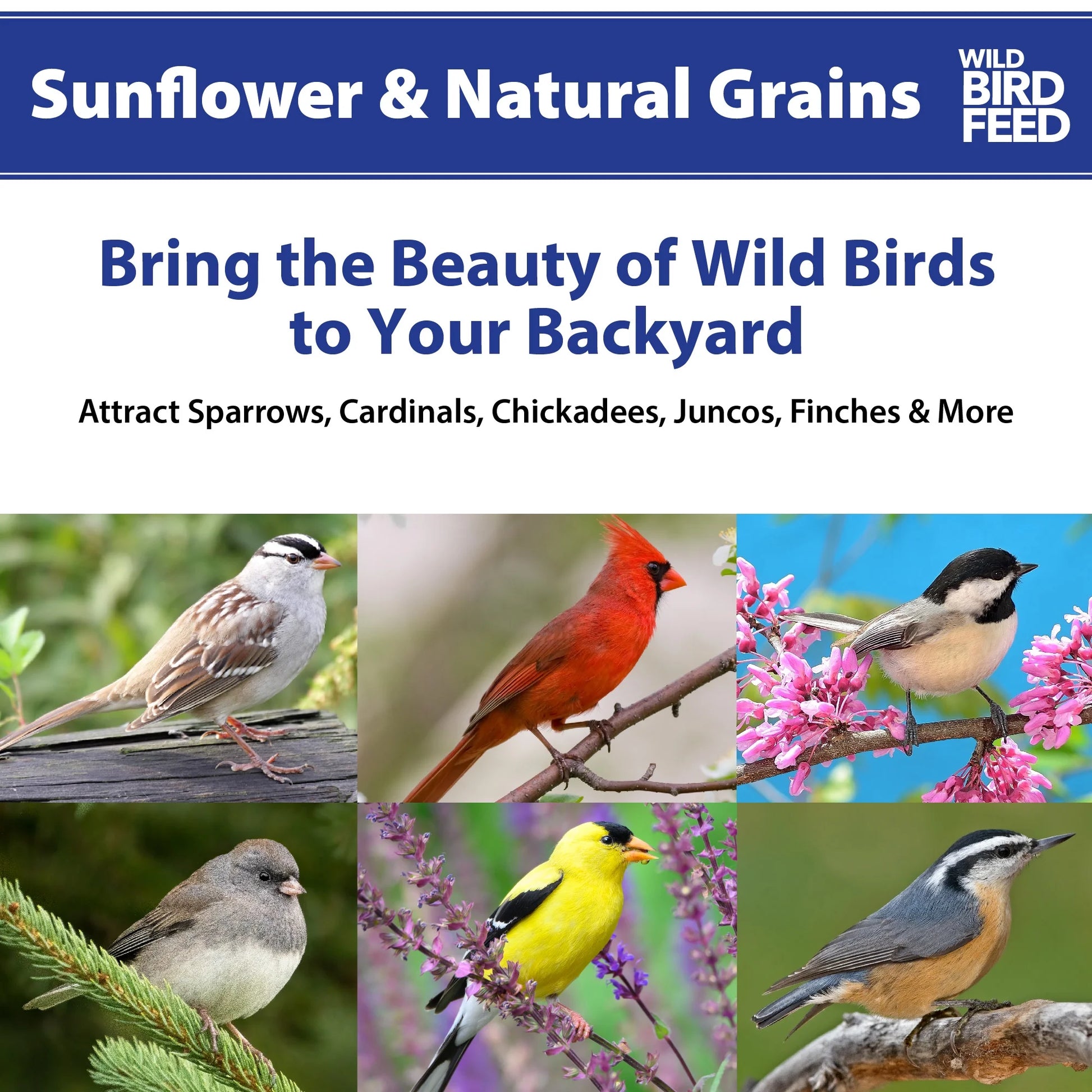 (5 Pack)  Sunflower & Natural Grains Wild Bird Feed, 5 Lb