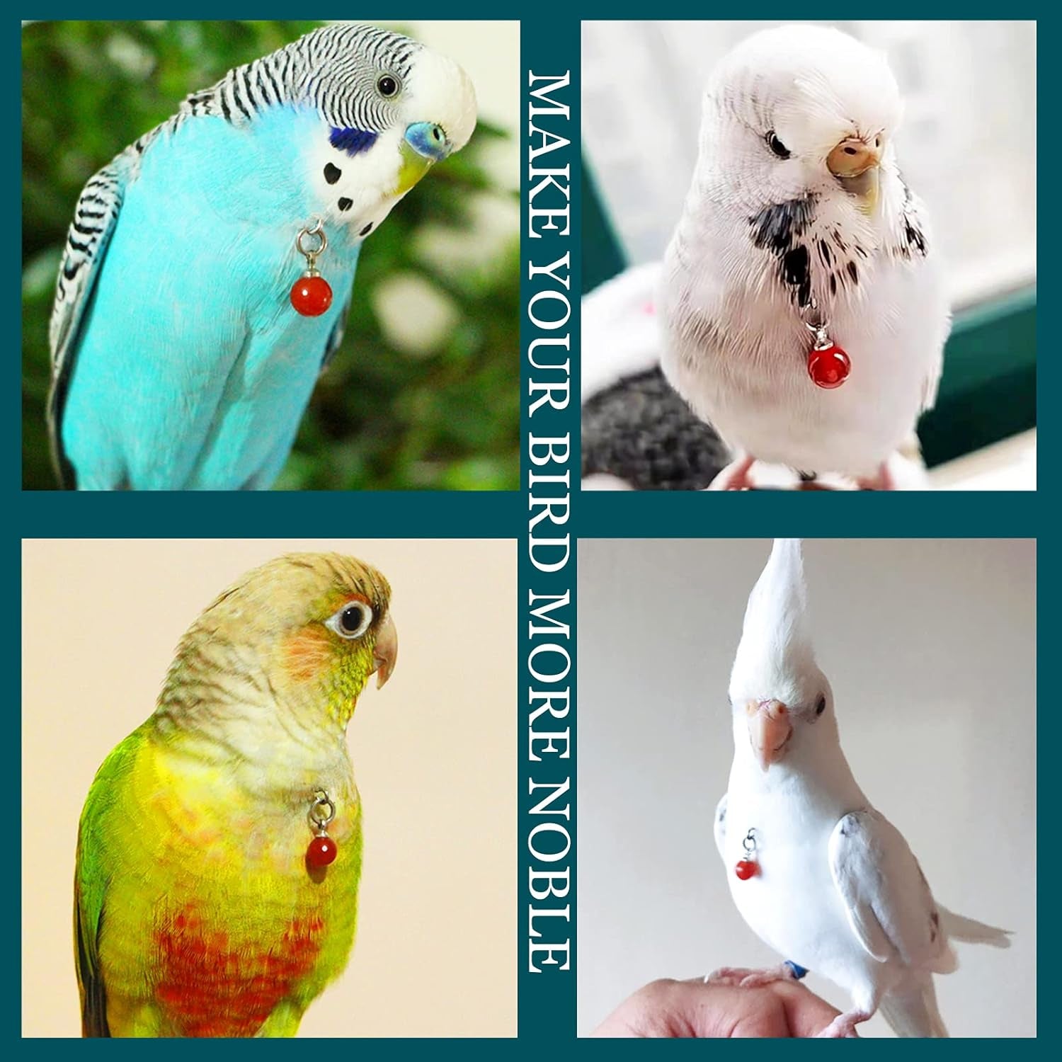 Parrot Bells Parrot Collar Necklace Parrot Decoration Parrot Scarf Clothes Budgerigar Peony Parrot Cockatiel Golden Sun Parrot
