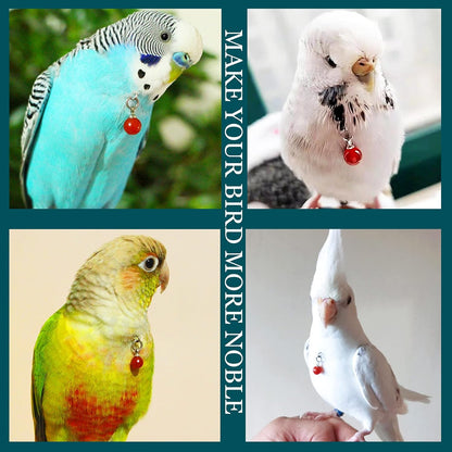 Parrot Bells Parrot Collar Necklace Parrot Decoration Parrot Scarf Clothes Budgerigar Peony Parrot Cockatiel Golden Sun Parrot