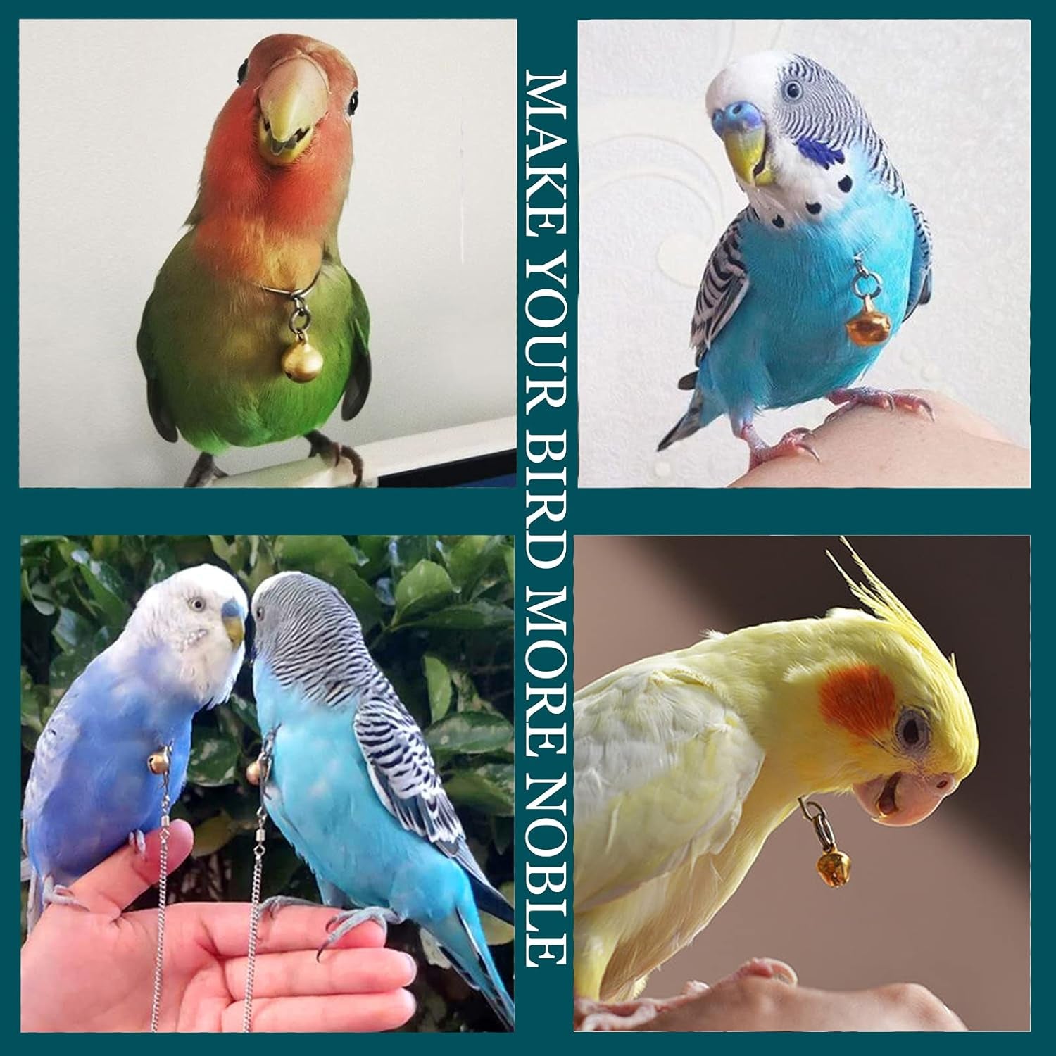 Parrot Bells Parrot Collar Necklace Parrot Decoration Parrot Scarf Clothes Budgerigar Peony Parrot Cockatiel Golden Sun Parrot
