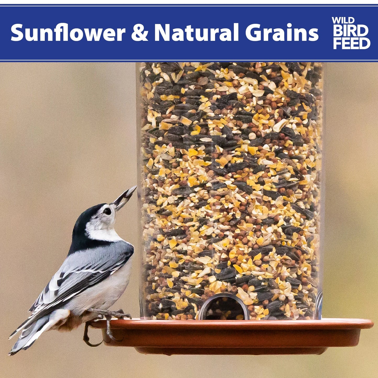 (5 Pack)  Sunflower & Natural Grains Wild Bird Feed, 5 Lb